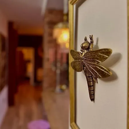 Singular Cotton * Granada