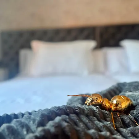 Apartment Singular Cotton