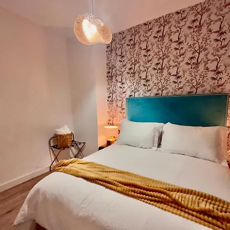 Singular Cotton Apartment *