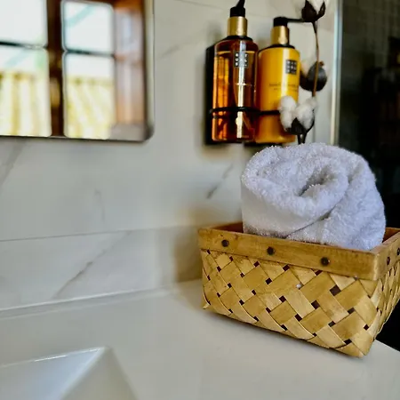 Apartment Singular Cotton