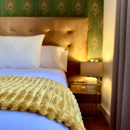 Singular Cotton Apartment