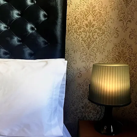 Apartment Singular Cotton