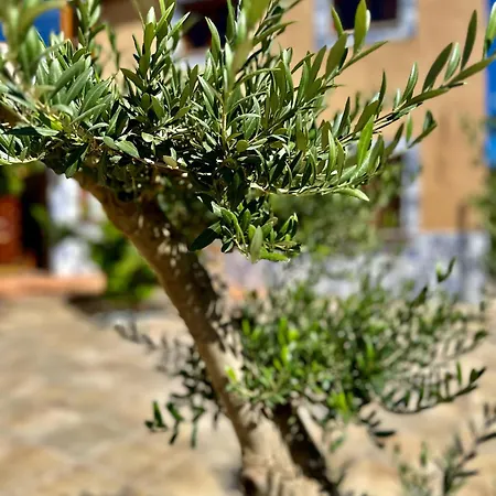 Singular Cotton Apartment Granada