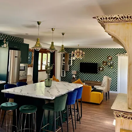 Singular Cotton Apartment