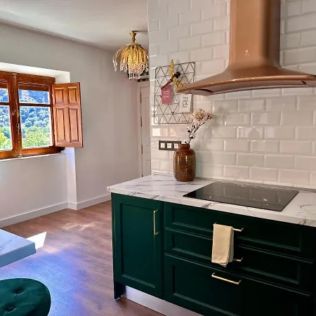 Singular Cotton * Granada