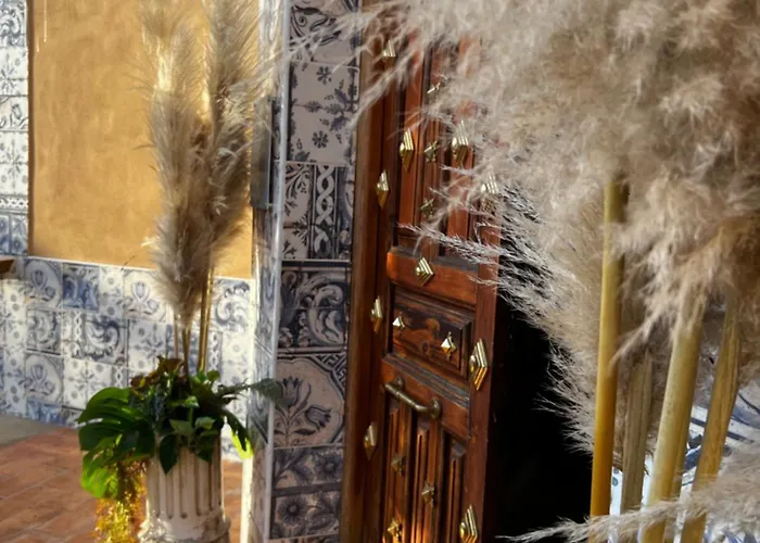 Singular Cotton Daire Granada