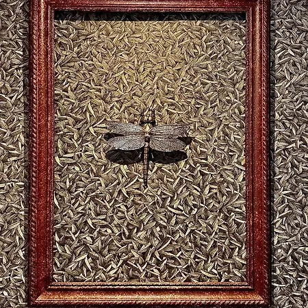 Libelle Appartement Grenade
